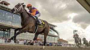 Derby Dozen, Kentucky Derby, Forte, Tapit Trice, Practical Move, Reincarnate, National Treasure, Kingsbarns, Two Phil’s, Confidence Game, Angel of Empire, Verifying, Rocket Can, Geaux Rocket Ride