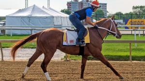 Preakness Stakes Cheat Sheet Pimlico Triple Crown horse racing Mage Blazing Sevens Chase the Chaos Coffeewithchris First Mission National Treasure Perform Red Route One 1/ST BET