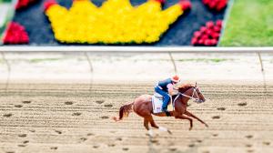 Mage Preakness Stakes Kentucky Derby Gustavo Delgado OGMA Ramiro Restrepo workout training Pimlico horse racing Javier Castellano 