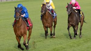 Breeders’ Cup Win and You’re In Challenge Series Woodbine Mile Summer Stakes Natalma Stakes Pocahontas Stakes Iroquois Stakes Locust Grove Stakes Churchill Downs turf horse racing prep Godolphin Cherie DeVaux Naval Power Charles Appleby William Buick