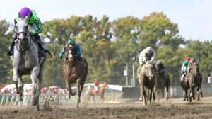 Next Breeders’ Cup gelding racehorse trainer jockey owner Michael Foster Luan Machado Doug Cowans claiming claim marathon Greenwood Cup training horse racing Birdstone Brooklyn