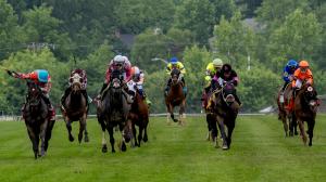 HISA Horseracing Integrity and Safety Authority regulation Welfare Unit Medication Control equine fatality injury racetrack accreditation Supreme Court veterinarian training horse racing