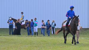 Thoroughbred equine aftercare retired racehorse OTTB Jay Hanley Lady Eli Goodnight Olive owner documentary film premiere screening festival Off Track production Kumin 