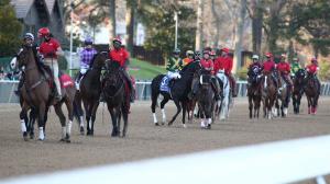 Derby Dozen Kentucky Derby Byron King BloodHorse Dornoch Fierceness Sierra Leone Forever Young Timberlake Track Phantom Catching Freedom Mystik Dan Conquest Warrior Hades Honor Marie Deterministic