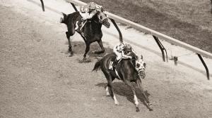 Secretariat Kentucky Derby Ron Turcotte racehorse Lucien Lauren Penny Chenery Meadow Stable Triple Crown Sham BloodHorse horse racing