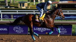 Senor Buscador Pegasus World Cup Gulfstream Park Joey Peacock Cigar Mile Mineshaft Breeders’ Cup Springboard Mile horse racing breeding father Joe Peacock pedigree New Mexico Rose’s Desert