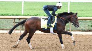 Kentucky Derby betting gambling handicapping Equibase speed figure Sierra Leone Just Steel Fierceness Resilience Endlessly Encino Dornoch Track Phantom T O Password Just a Touch West Saratoga Forever Young Just a Touch horse racing pace trainer jockey 