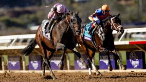 Eclipse Award 3-year-old champion horse racing Fierceness Sierra Leone Seize the Grey Mystik Dan Dornoch Kentucky Derby Belmont Stakes Preakness Jim Dandy Travers Breeders’ Cup Classic Haskell Triple Crown Blue Grass Jim Dandy 