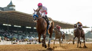 Bing Crosby Stakes, Del Mar, Spirit of Makena, Hoist the Gold, Todo Fino, The Chosen Vron, Kid Corleone, Get Her Number, Anarchist, C Z Rocket, Sibelius, American Theorem, Dr. Schivel, Peaceful Waters, Breeders’ Cup Sprint, Win and You’re In