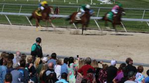 Radio TV television broadcast horse racing Tampa Bay Downs Sam F. Davis Stakes El Camino Real Derby Gulfstream Park Turfway Park Fair Grounds Aqueduct Oaklawn Park FS2 Fox Sports America’s Day at the Races NYRA FanDuel TV RTN Byk HRRN 