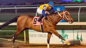 Track Phantom, 2024 Kentucky Derby, Gun Runner Stakes