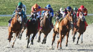 Two Phil’s, Forte, Angel of Empire, Derma Sotogake, Kingsbarns, Hit Show, Confidence Game, Practical Move, Kentucky Derby, Rocket Can, Tapit Trice