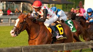 Win for the Money Woodbine Mile Breeders’ Cup Patrick Husbands Live Oak Plantation Mark Casse speed figures jockey owner trainer turf horse racing 