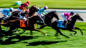 Woodbine Mile Breeders’ Cup Win and You’re In Summer Stakes Natalma Stakes TV television radio livestreaming Tordjman America’s Day at the Races NYRA Belmont at the Big A FanDuel TV NBC Churchill Downs Woodbine horse racing radio Byk HRRN