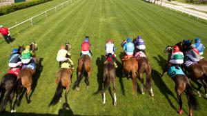 E. P. Taylor Stakes Woodbine Aspen Grove Stack Sisterson Belmont Oaks turf With the Moonlight Godolphin Appleby Glen Hill betting handicapping longshot Moira