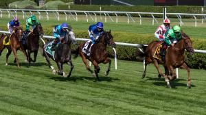 In Italian, Saratoga Race Couse, Chad Brown, 2023 Grade 1 Diana Stakes