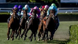 Belmont Oaks Invitational Stakes Belmont Park Athena Eclipse Sportswire