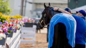 First Mission Brad Cox Preakness Pimlico