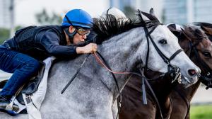 Jockey Safety, helmets, goggles, vests, reins, Keeneland, Eclipse Sportswire