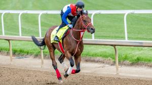 Forever Young, Longines Breeders’ Cup Classic, Del Mar, Churchill Downs, Kentucky Derby Presented by Woodford Reserve