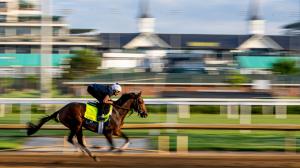Blue Grass Stakes winner Sierra Leone, Kentucky Derby Presented by Woodford Reserve, Churchill Downs, Eclipse Sportswire