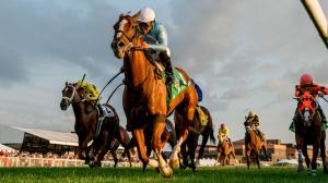 2023 FanDuel Kentucky Turf Cup, Kentucky Downs, Get Smokin, Mark Casse