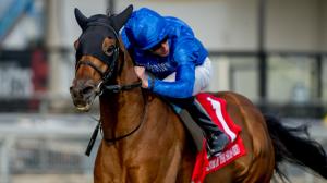 Master of the Seas, 2023 Ricoh Woodbine Mile, 2023 Fanduel Breeders Cup Mile, Charles Appleby, William Buick