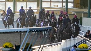 2023 Breeders Cup World Championships, Santa Anita Park, Eclipse Sportswire