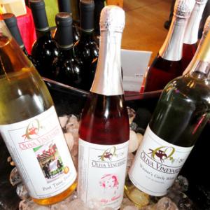 <a href="http://olivavineyards.com/">Oliva Vineyards</a>