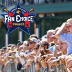 Inaugural Fan Choice Awards: The Winners